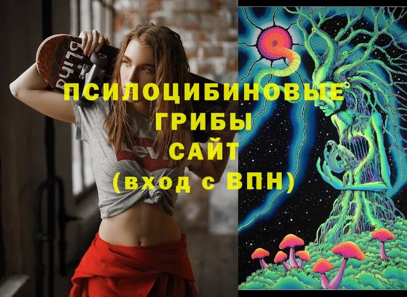 Галлюциногенные грибы Magic Shrooms Чулым